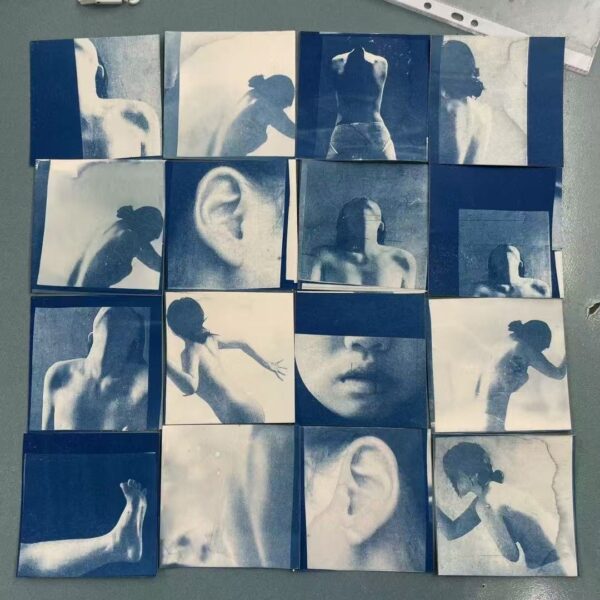 vce art