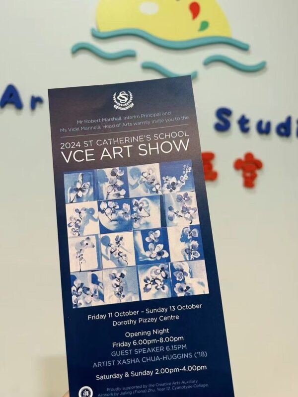 VCE Art Folio Tutoring - Image 4